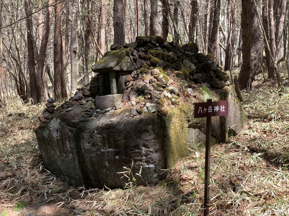 スリーピークス八ヶ岳トレイル Attack Lineの写真16