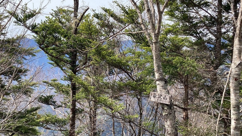 十文字峠周回トレイルの写真3