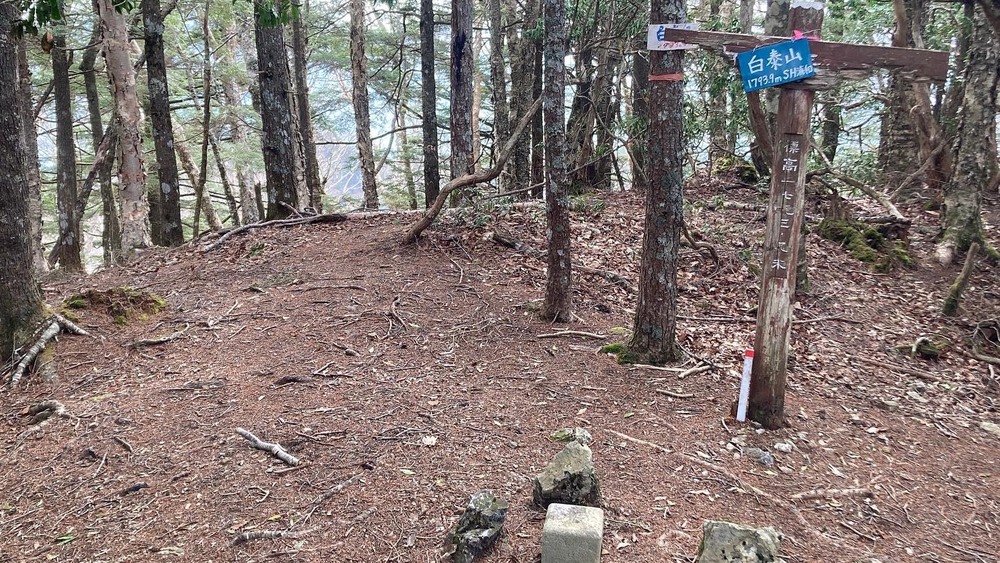 十文字峠周回トレイルの写真5