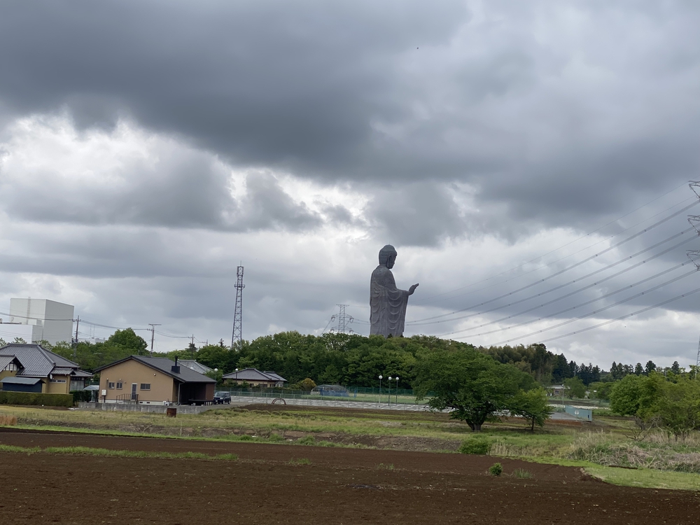 牛久大仏を仰ぎながらのランの写真8