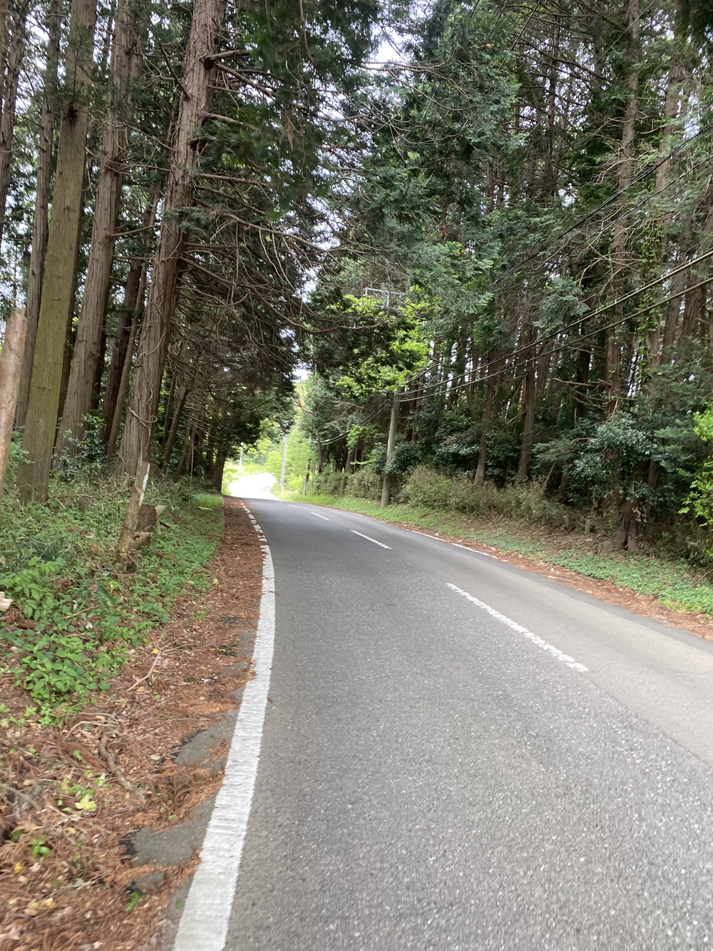 牛久大仏を仰ぎながらのランの写真9