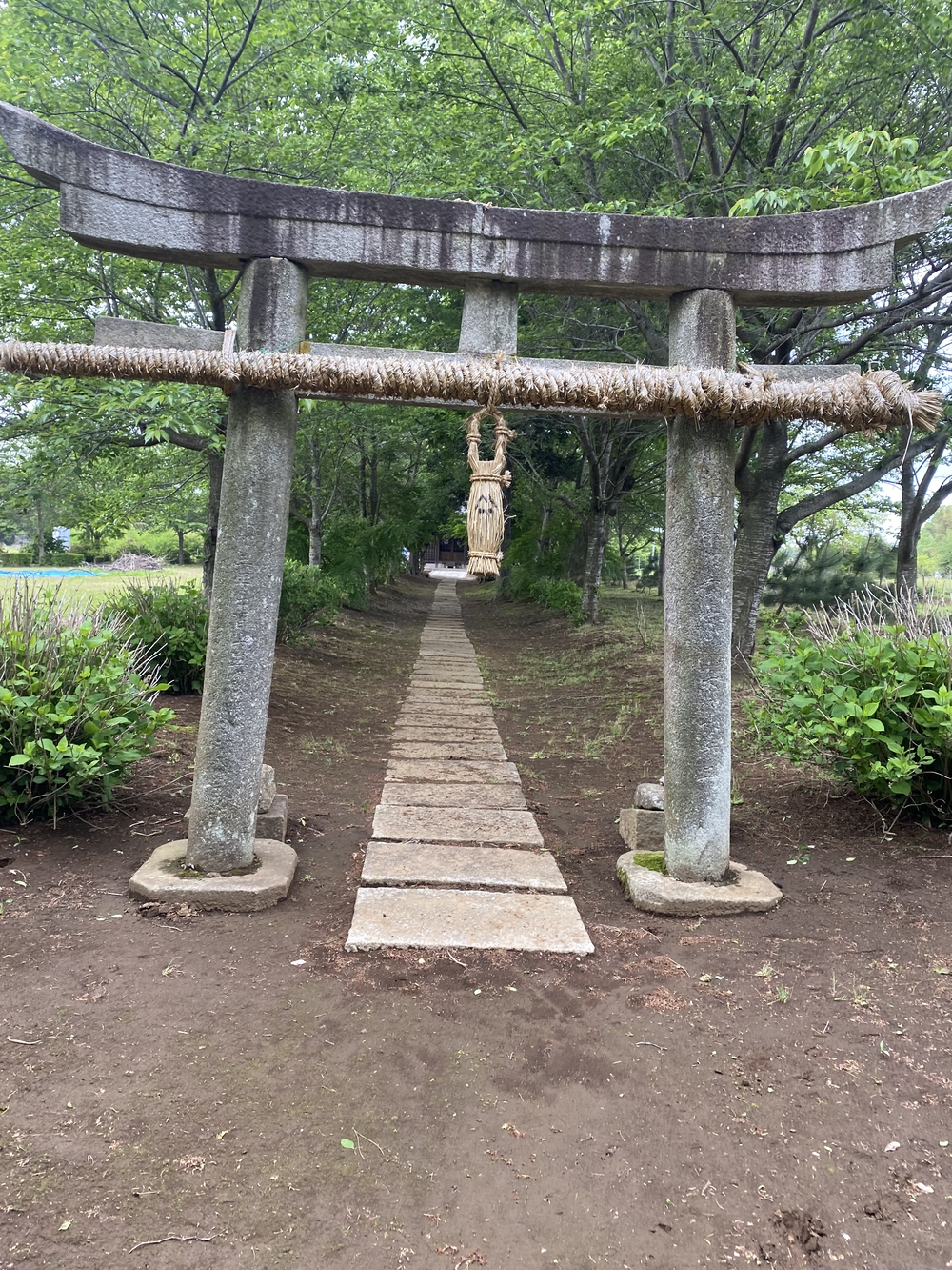 牛久大仏を仰ぎながらのランの写真12