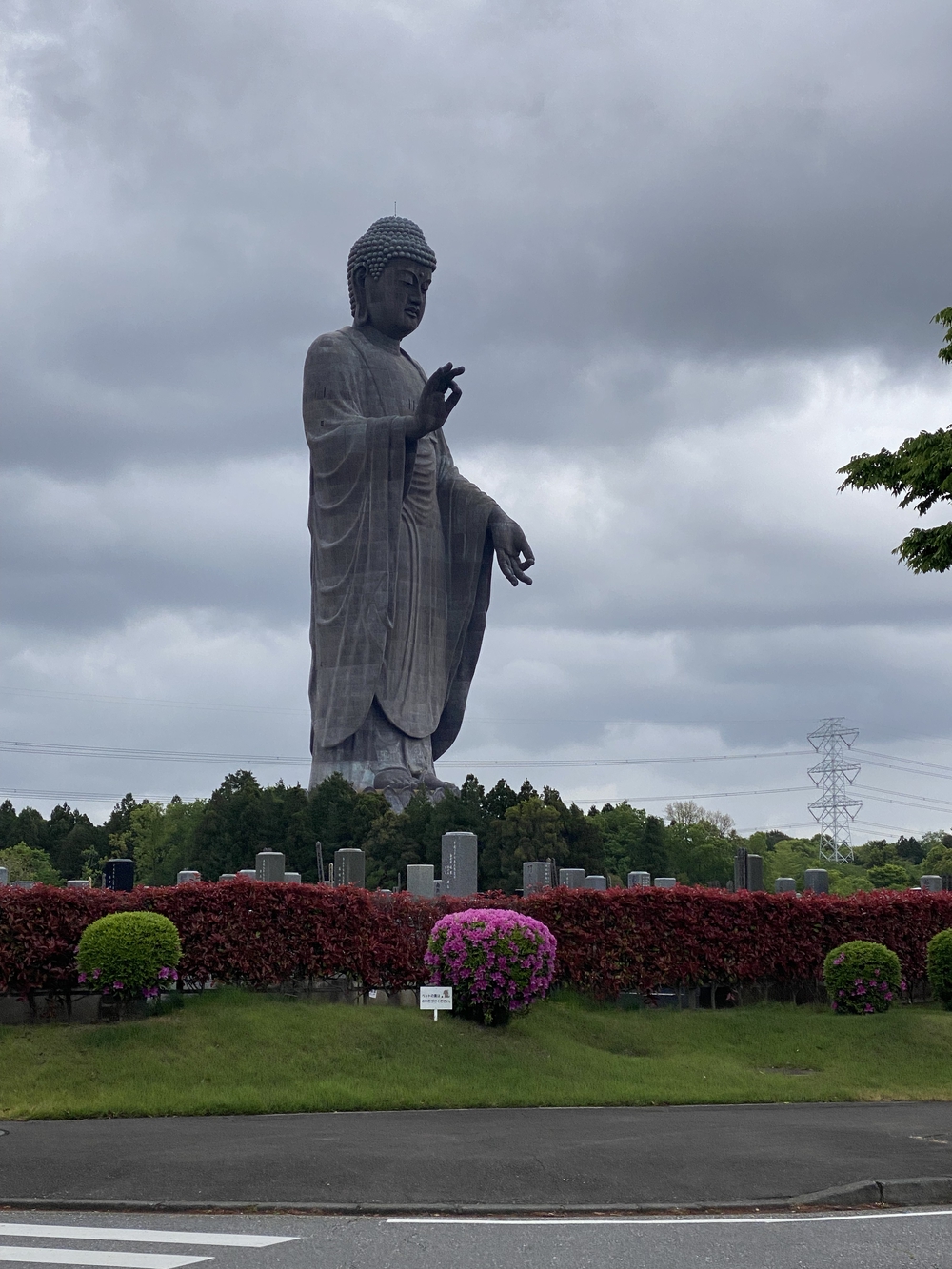 牛久大仏を仰ぎながらのランの写真17