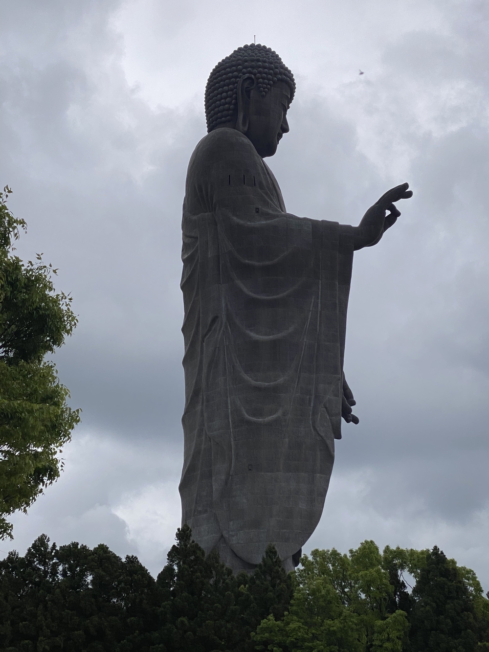 牛久大仏を仰ぎながらのランの写真18