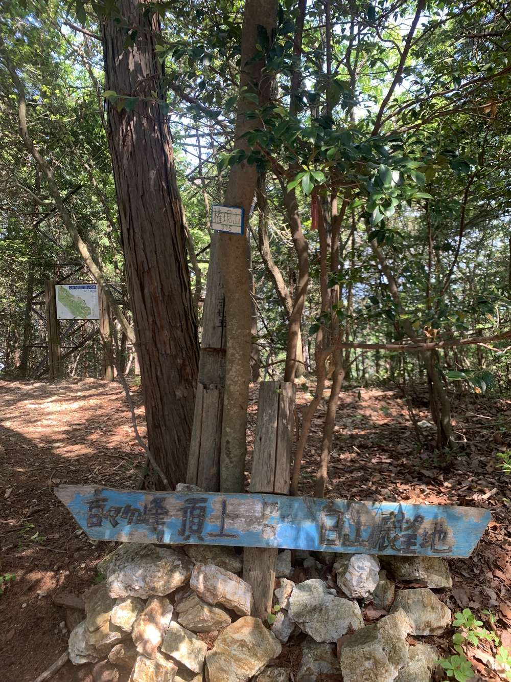 岐阜　百々ヶ峰（どどがみね）の写真3