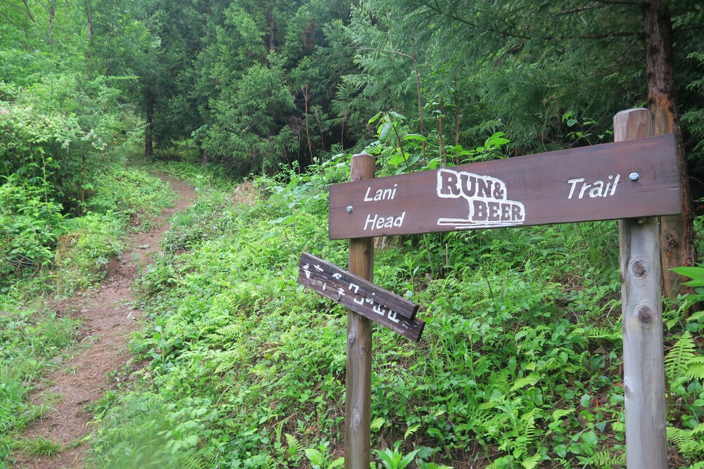 ラニヘッドトレイルからの日の出山と御岳山の写真5