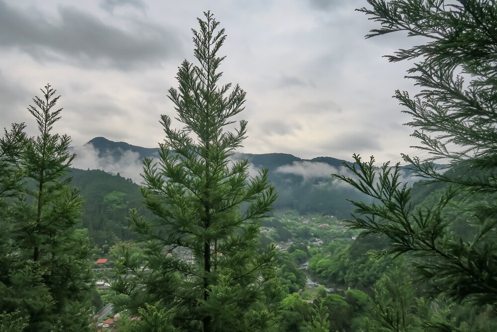 ラニヘッドトレイルからの日の出山と御岳山の写真6
