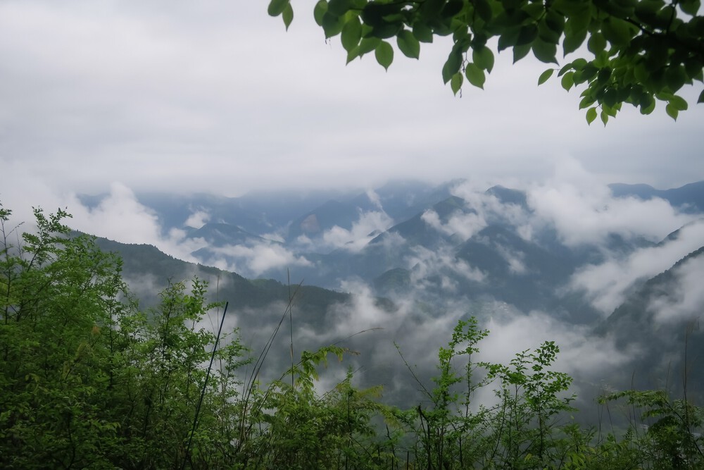 ラニヘッドトレイルからの日の出山と御岳山の写真9