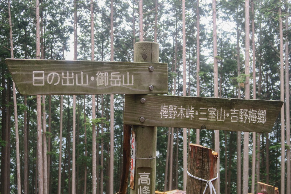 ラニヘッドトレイルからの日の出山と御岳山の写真11