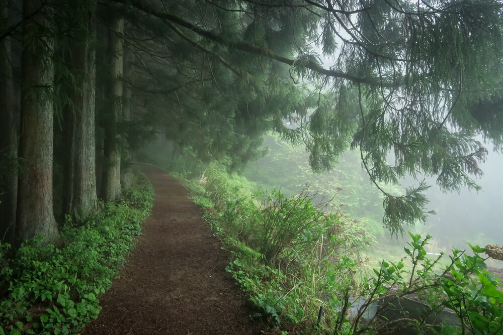 ラニヘッドトレイルからの日の出山と御岳山の写真15