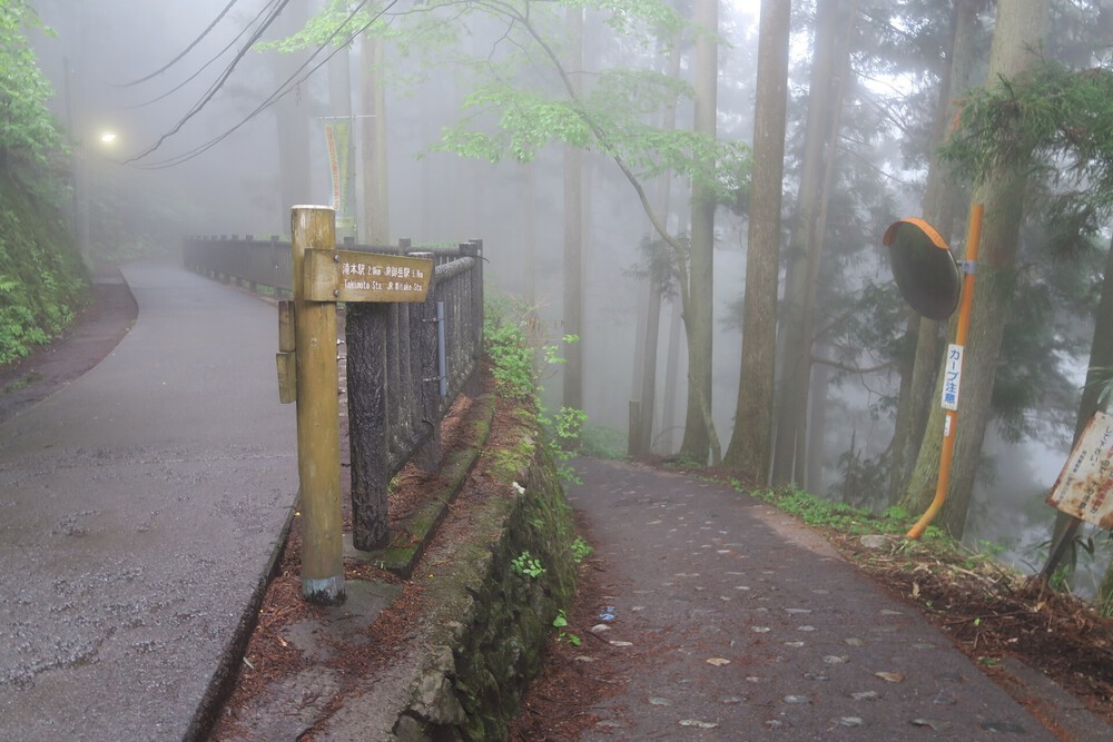ラニヘッドトレイルからの日の出山と御岳山の写真17