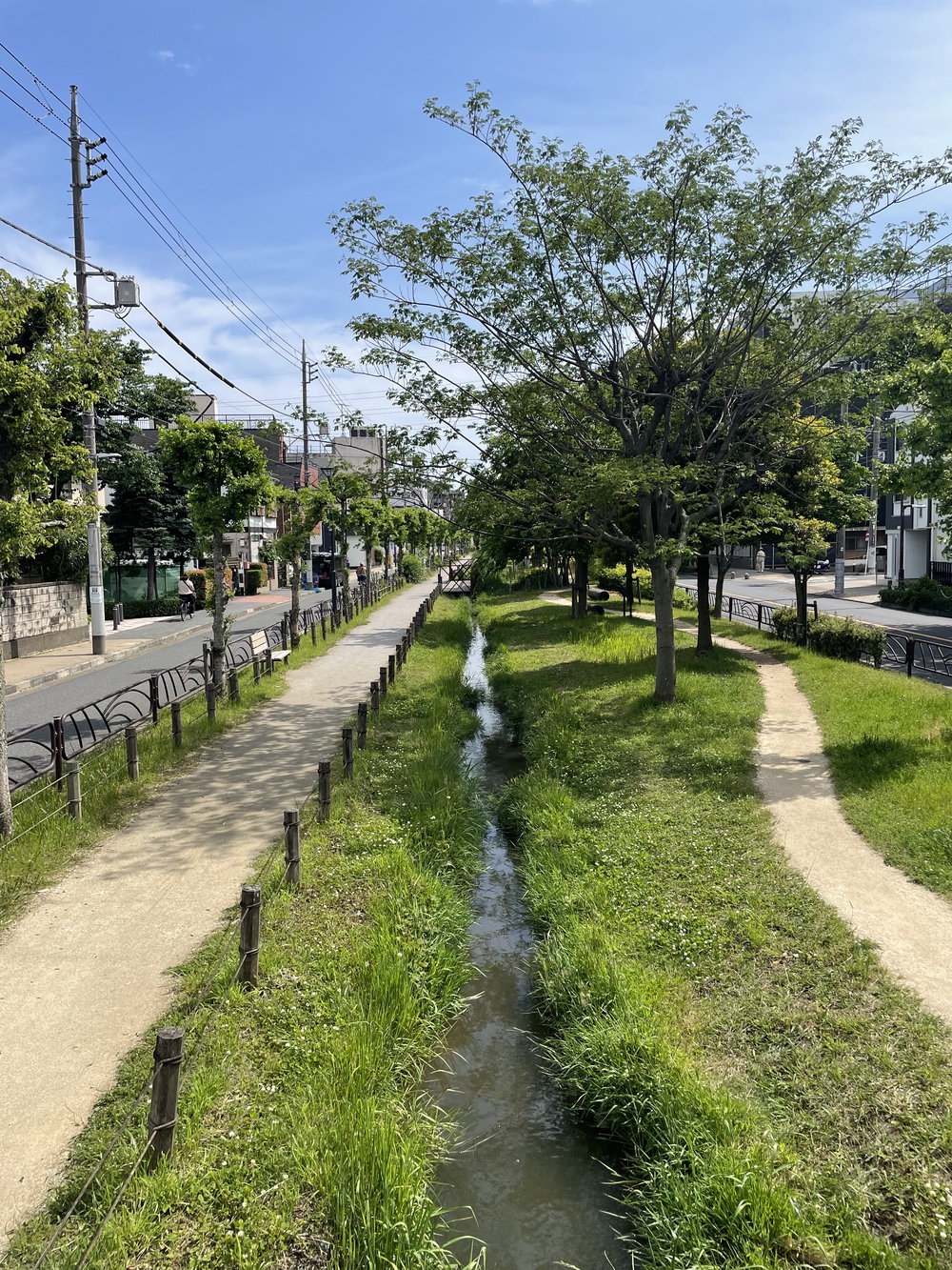 歌川広重と共にRUN 四つ木の写真4