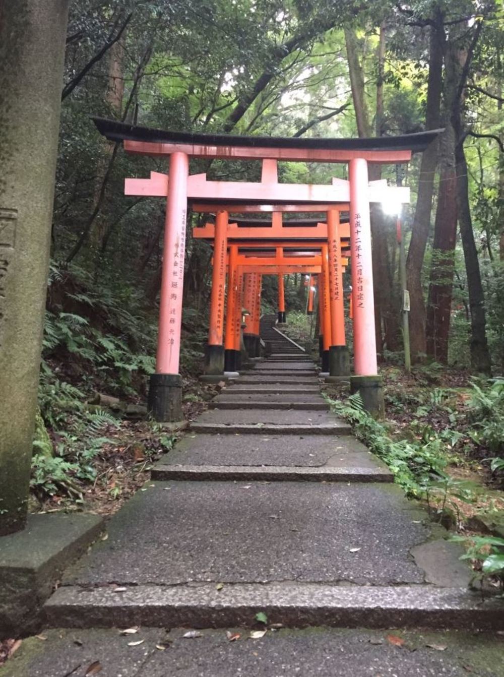 【出張朝ラン】伏見稲荷パワースポットプチトレラン5kmの写真4