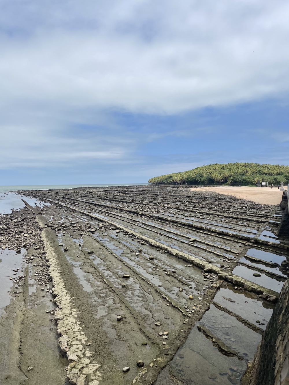 歌川広重と共にRUN 油津の写真7