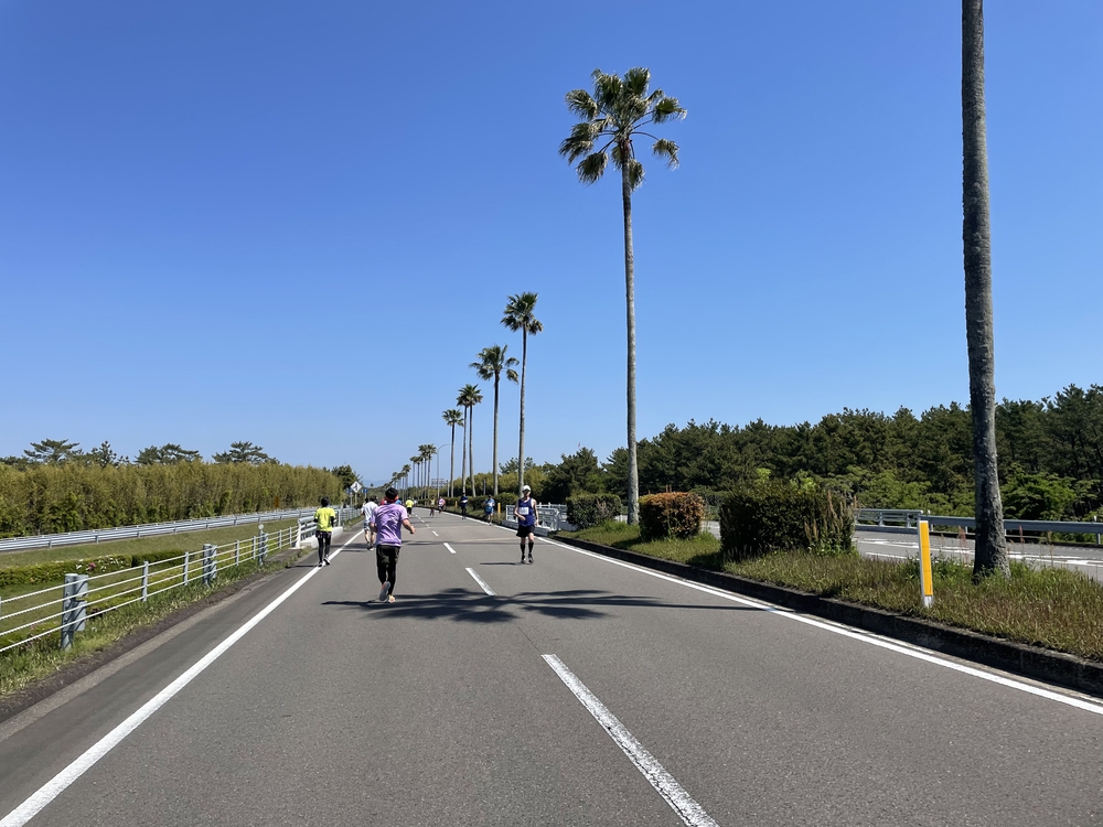 宮崎シーガイアマラソンの写真3