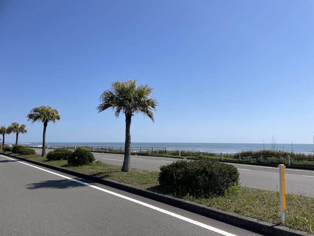 宮崎シーガイアマラソンの写真4