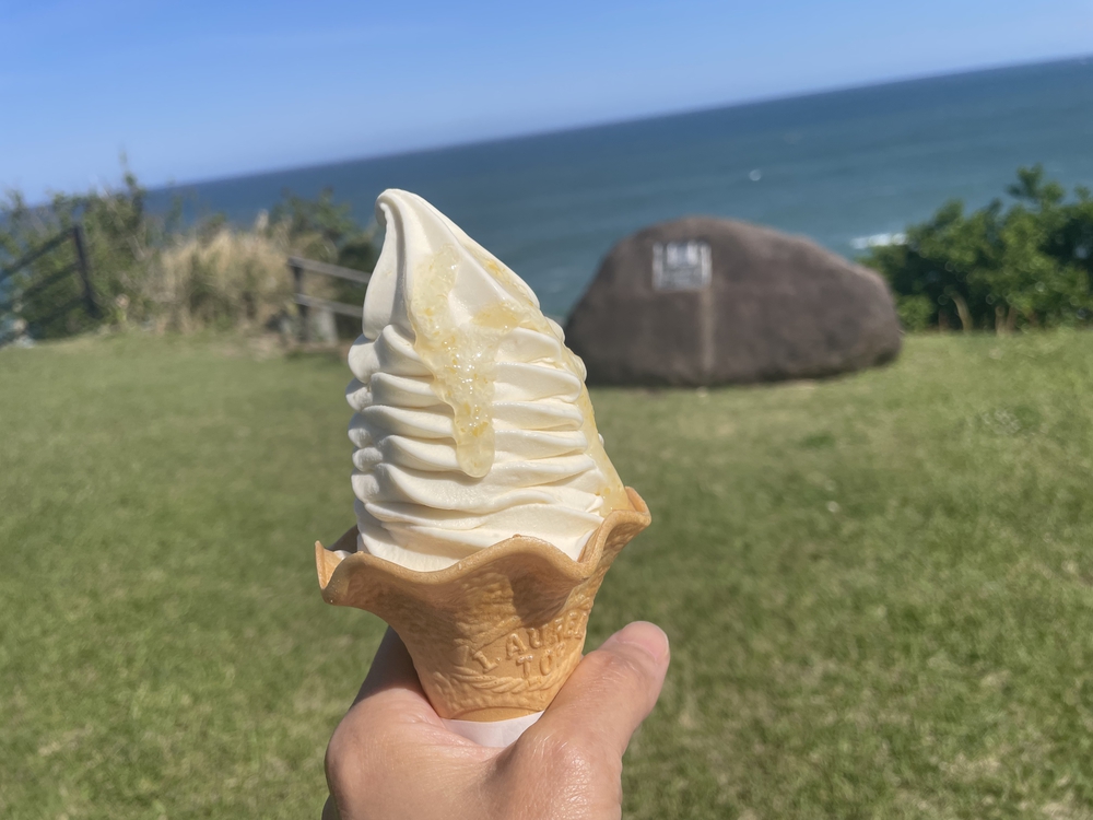 宮崎シーガイアマラソンの写真12