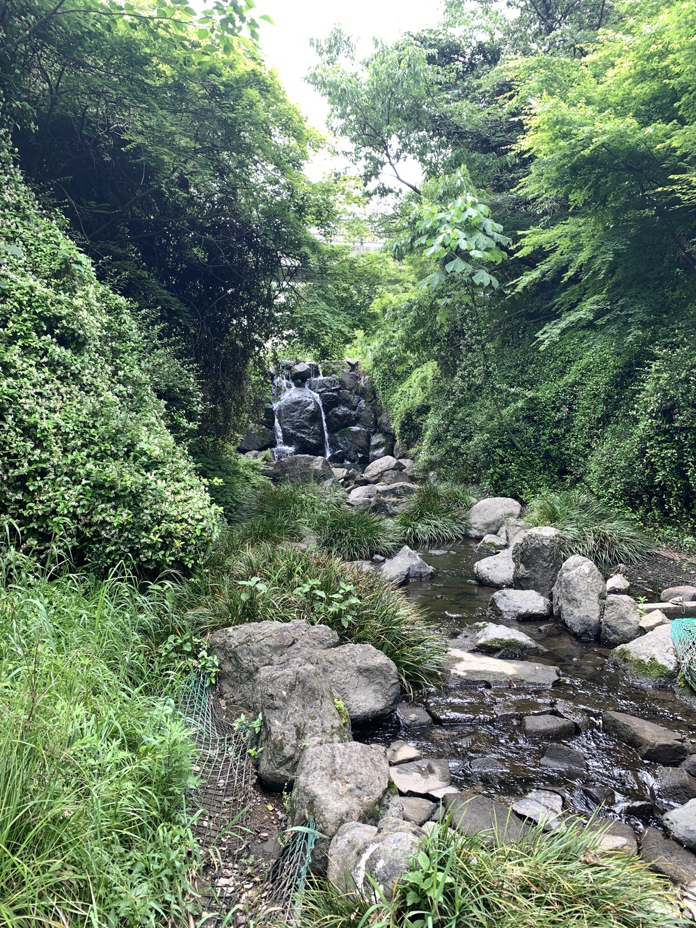 ナゴヤ人にも お勧め！名古屋最高峰から歴史ロマンを巡り大曽根のドームを目指しますの写真12