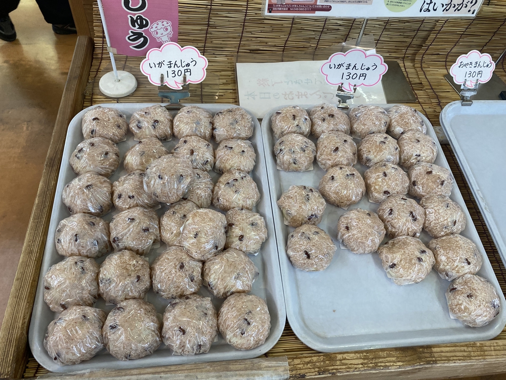 彩北巡りマラニック①（加須〜羽生編）の写真9