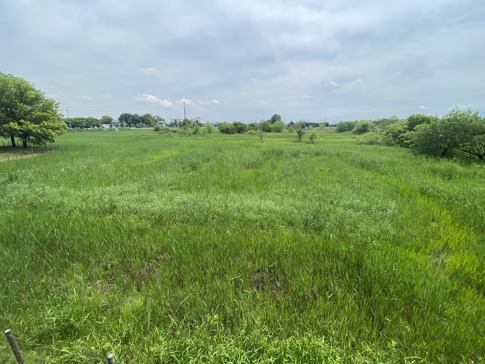 彩北巡りマラニック①（加須〜羽生編）の写真11