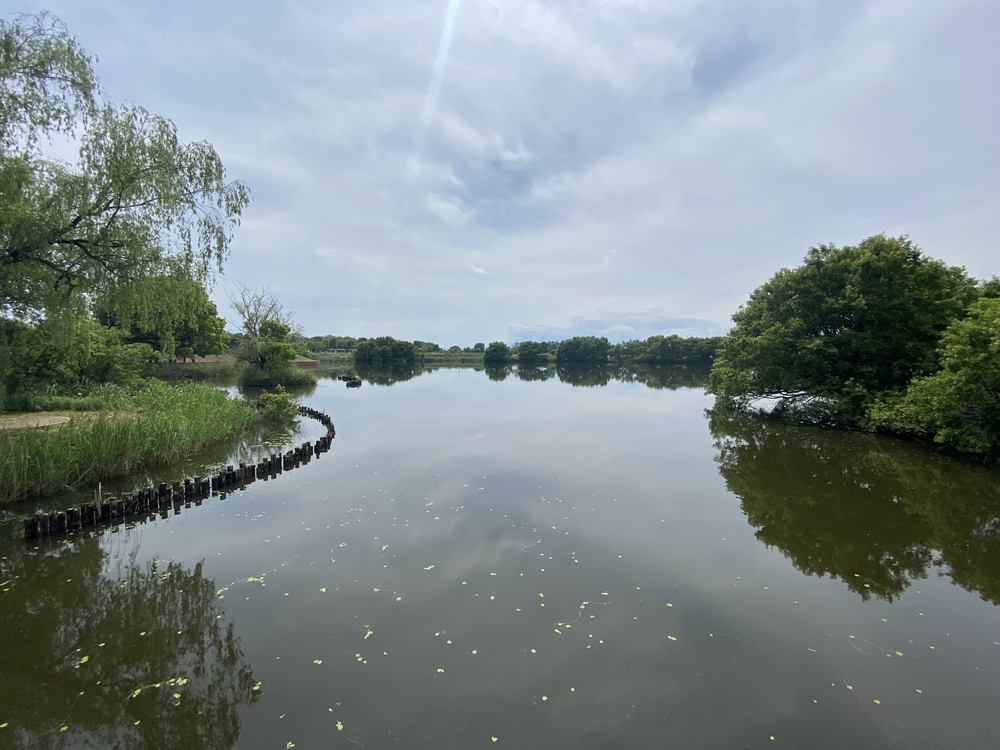 彩北巡りマラニック①（加須〜羽生編）の写真13