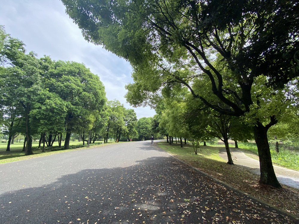 彩北巡りマラニック①（加須〜羽生編）の写真14