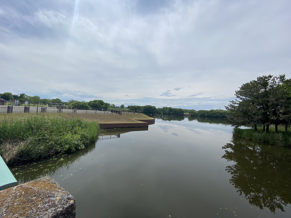 彩北巡りマラニック①（加須〜羽生編）の写真15