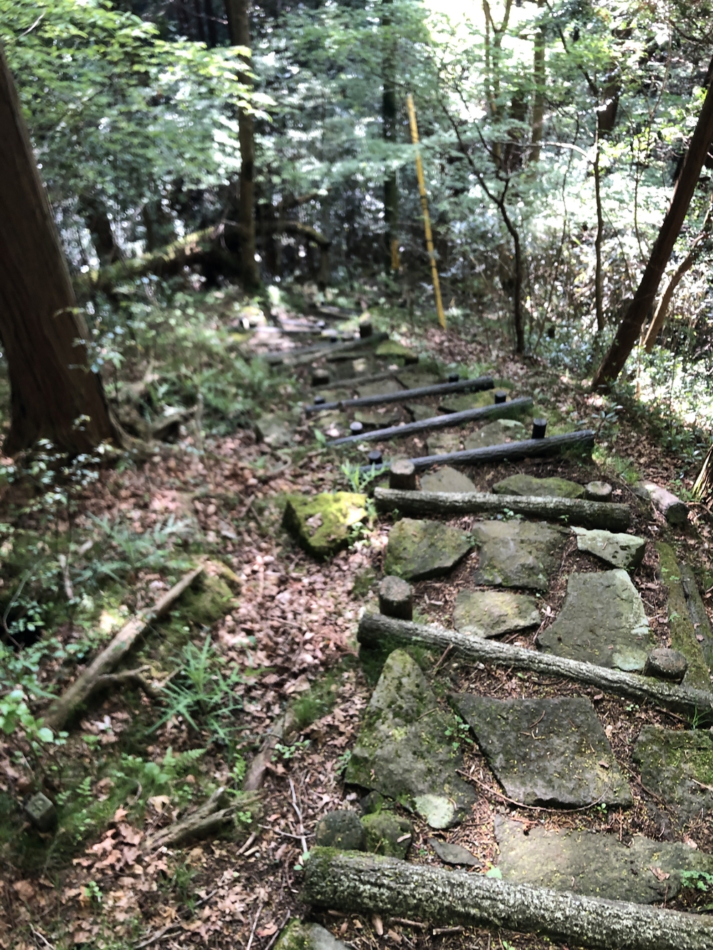 芦ノ湖で見どころ満載のプチトレランの写真7