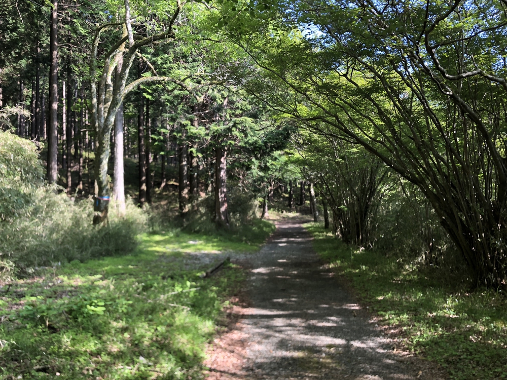 芦ノ湖で見どころ満載のプチトレランの写真8