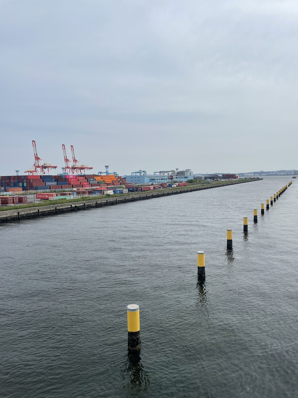 歌川広重と共にRUN 本牧の写真3