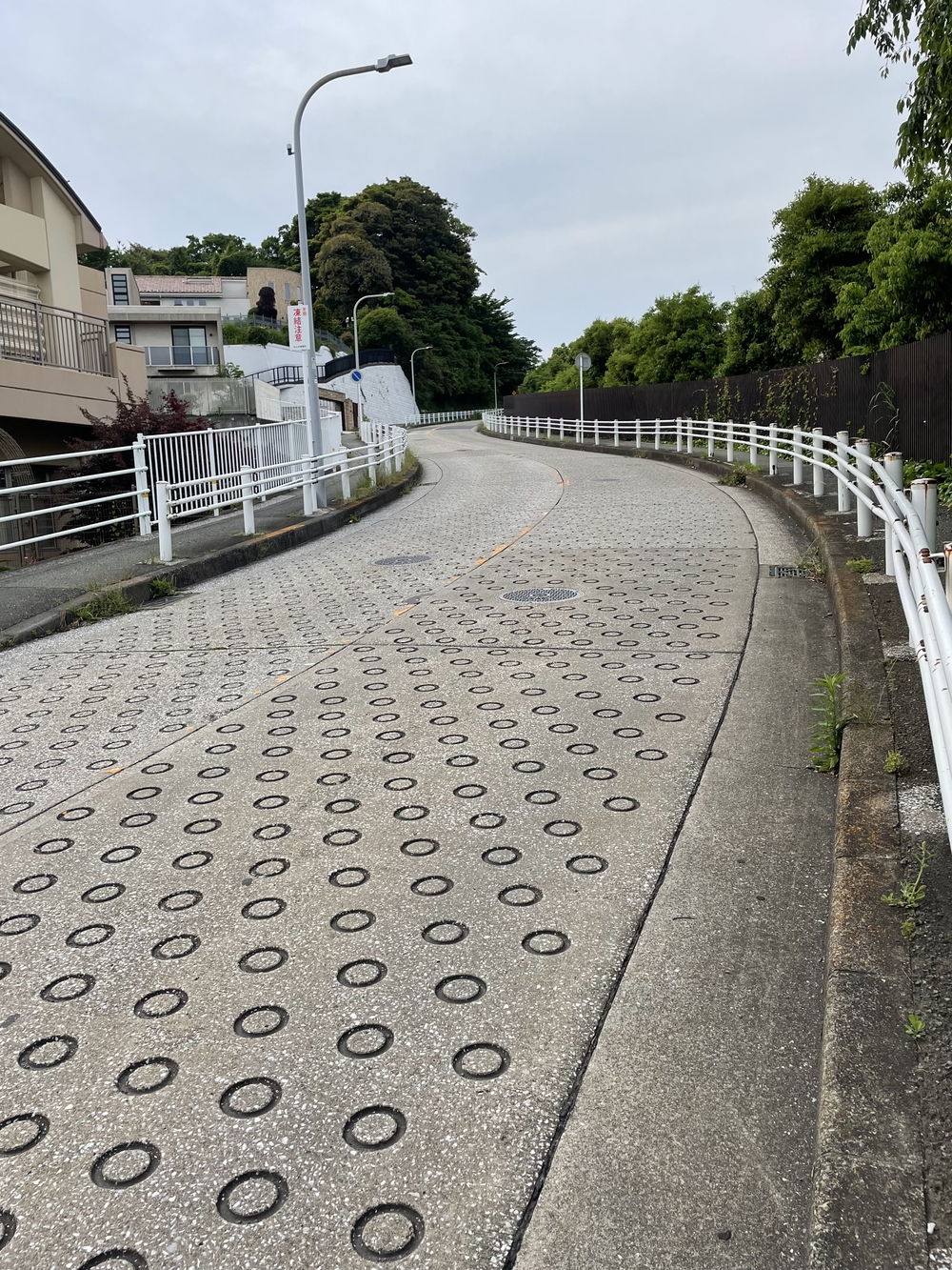 歌川広重と共にRUN 本牧の写真4