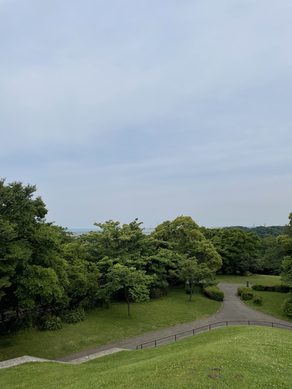 歌川広重と共にRUN 本牧の写真6