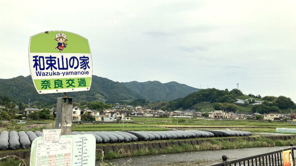 お茶の京都【和束町の茶源郷】の写真3