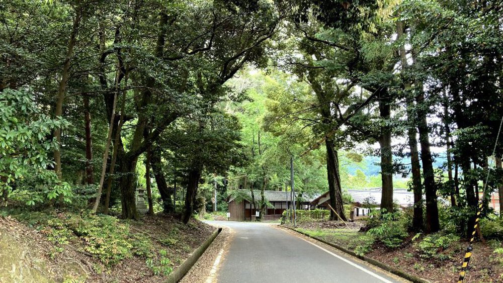 お茶の京都【和束町の茶源郷】の写真7