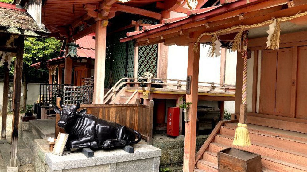 お茶の京都【和束町の茶源郷】の写真8