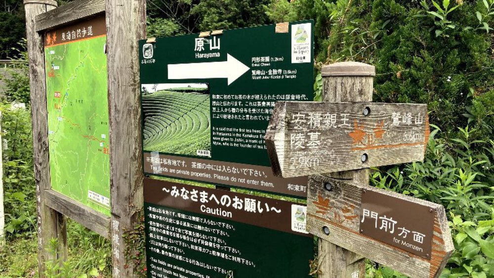 お茶の京都【和束町の茶源郷】の写真11