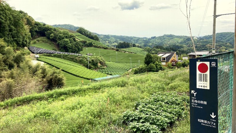 お茶の京都【和束町の茶源郷】の写真21