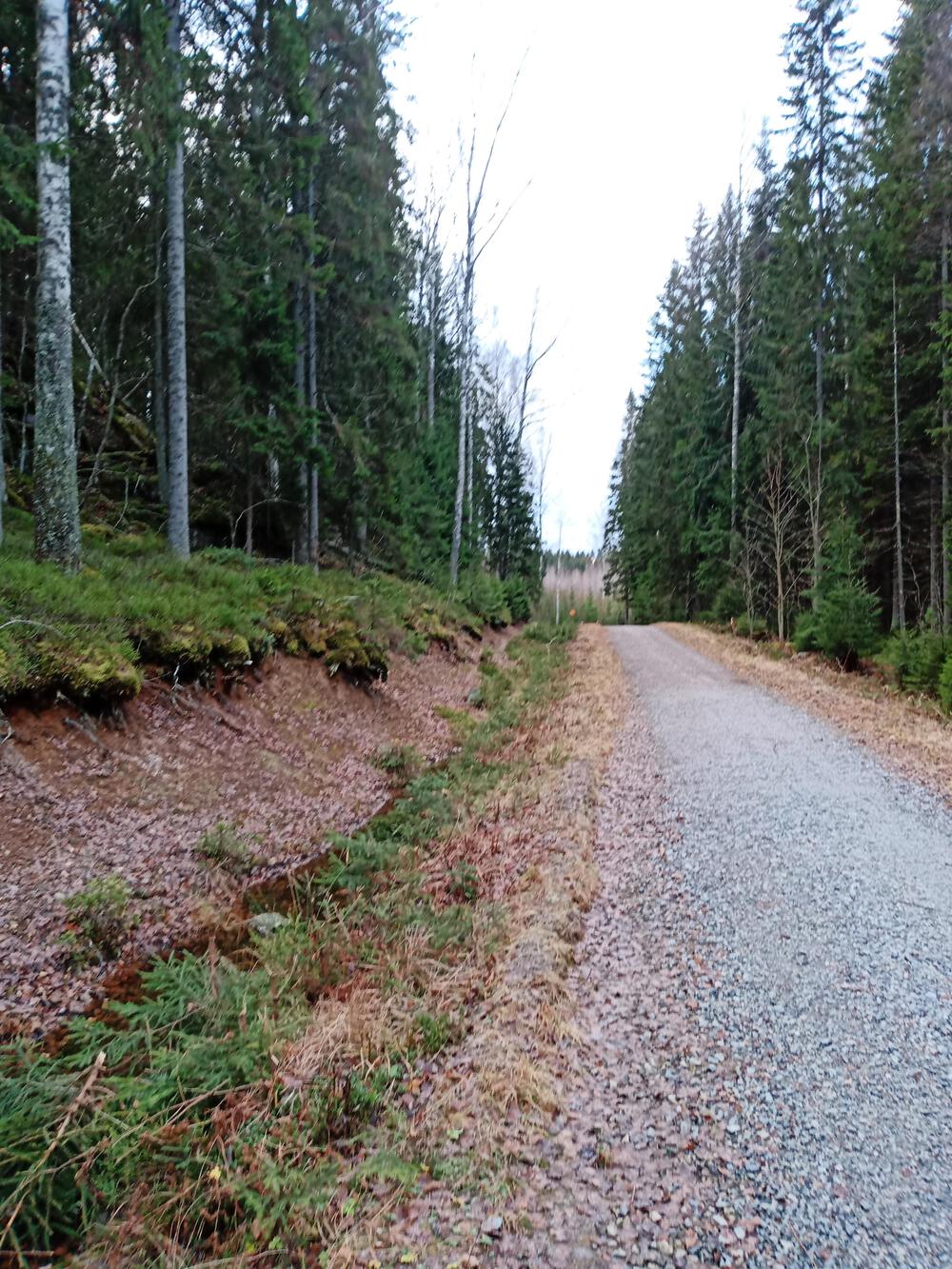 フィンランド　Sipoonkorpi国立公園　Fistrack湖トレッキングの写真3