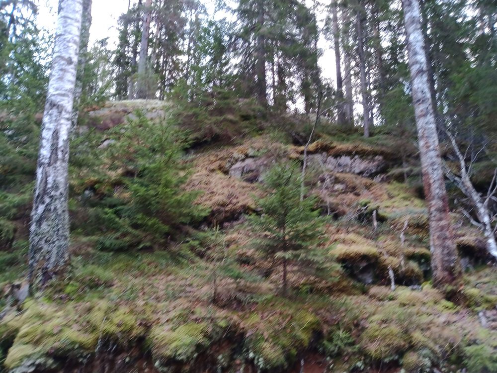 フィンランド　Sipoonkorpi国立公園　Fistrack湖トレッキングの写真5