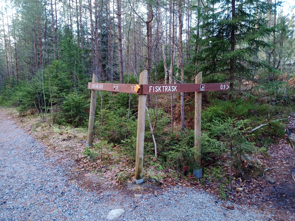 フィンランド　Sipoonkorpi国立公園　Fistrack湖トレッキングの写真7