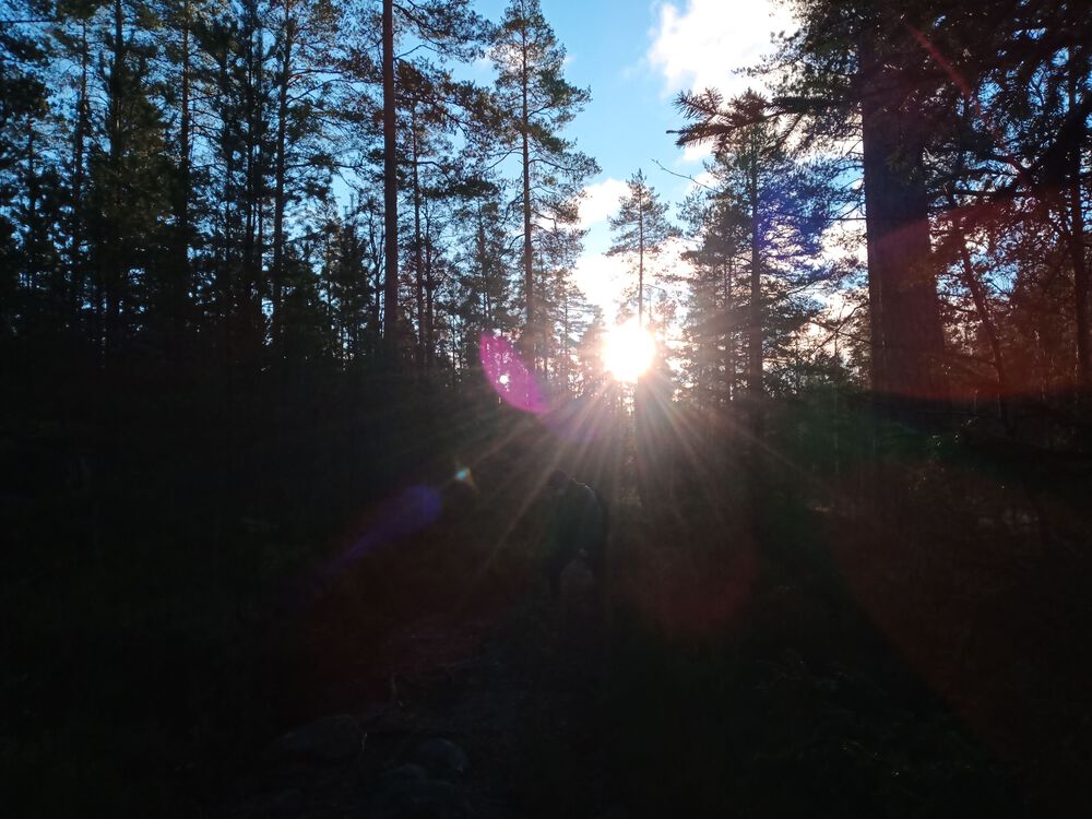 フィンランド　Sipoonkorpi国立公園　Fistrack湖トレッキングの写真11