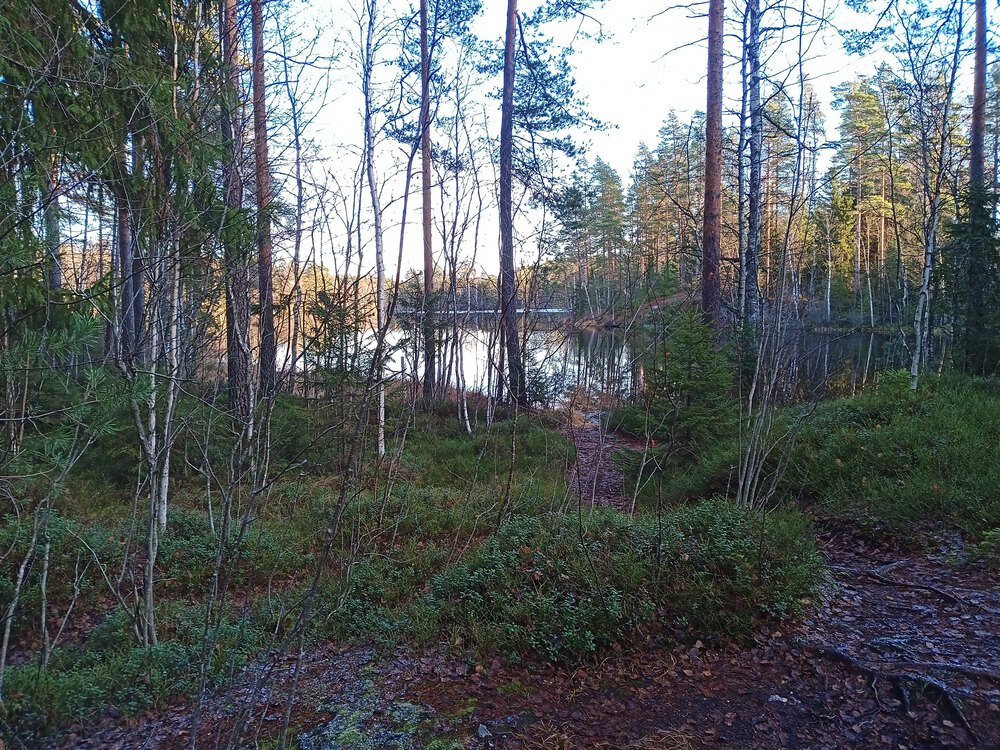 フィンランド　Sipoonkorpi国立公園　Fistrack湖トレッキングの写真13