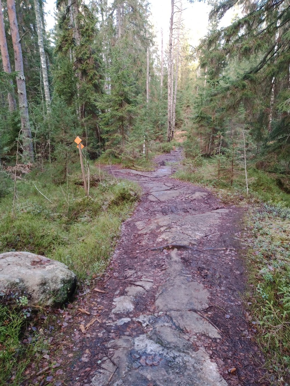 フィンランド　Sipoonkorpi国立公園　Fistrack湖トレッキングの写真14