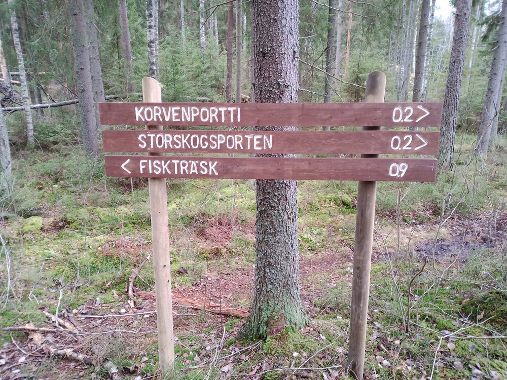 フィンランド　Sipoonkorpi国立公園　Fistrack湖トレッキングの写真15