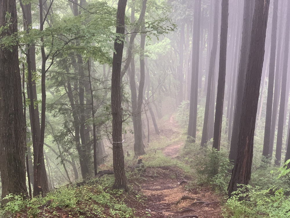 ハセツネ30K 走ってみたの写真6