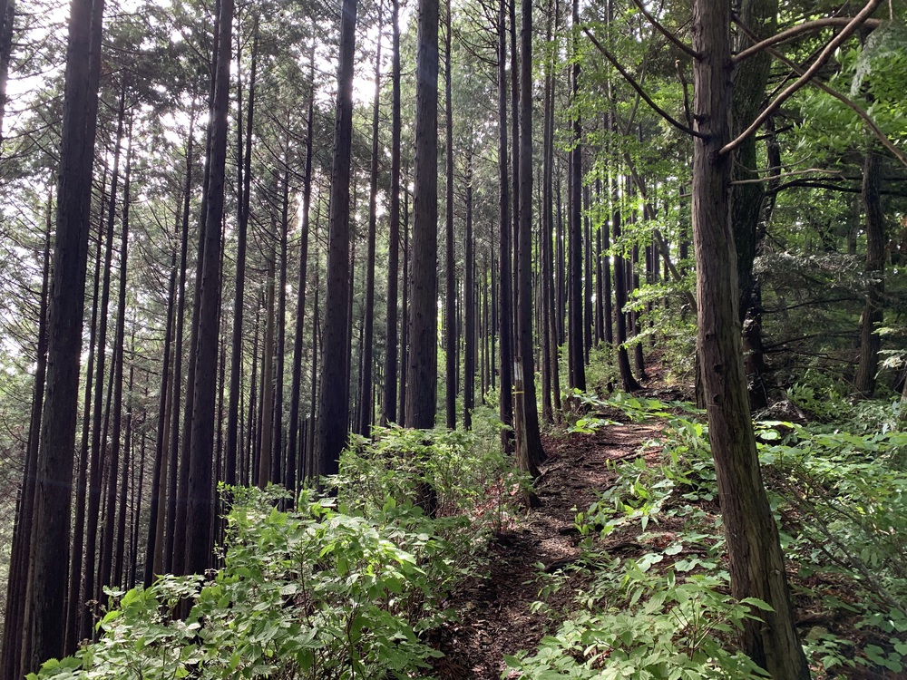 ハセツネ30K 走ってみたの写真9