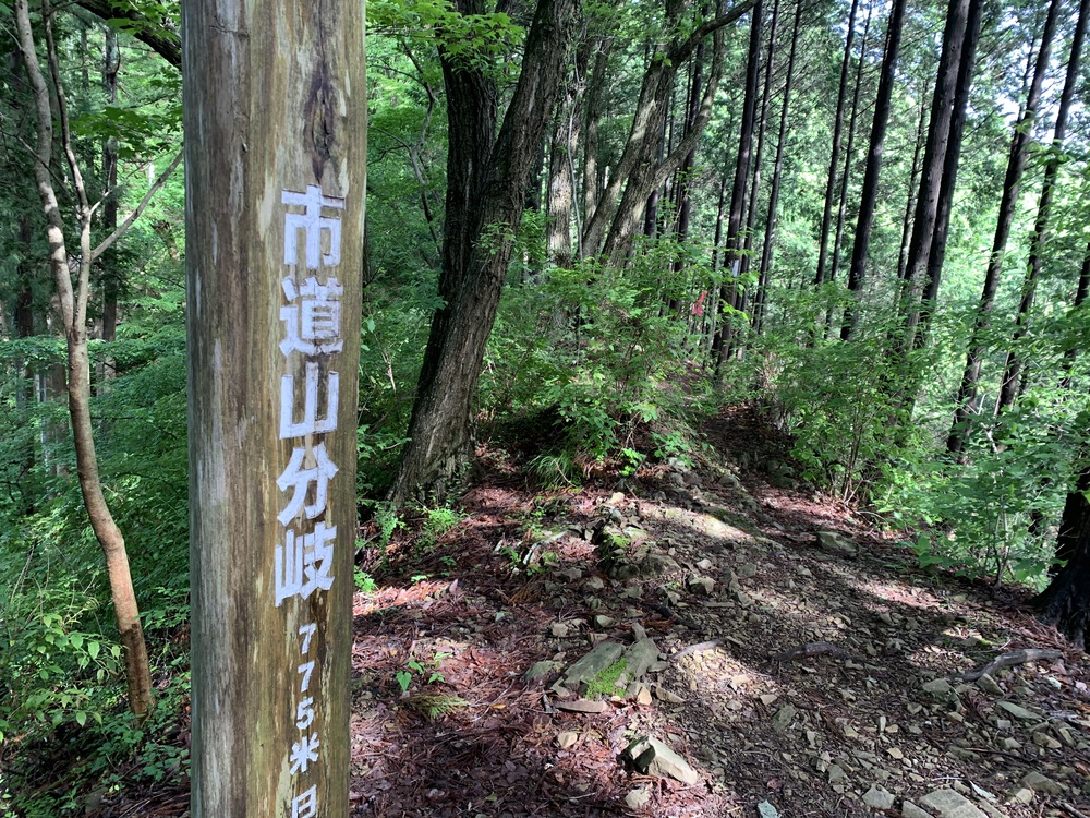 ハセツネ30K 走ってみたの写真10