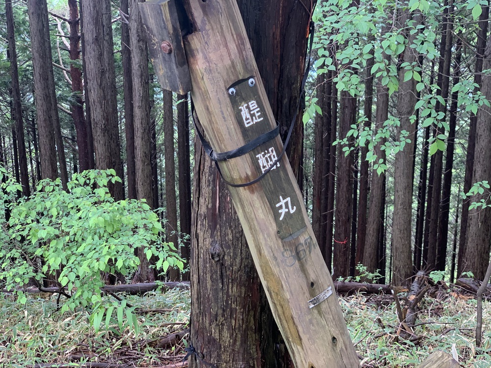 ハセツネ30K 走ってみたの写真11