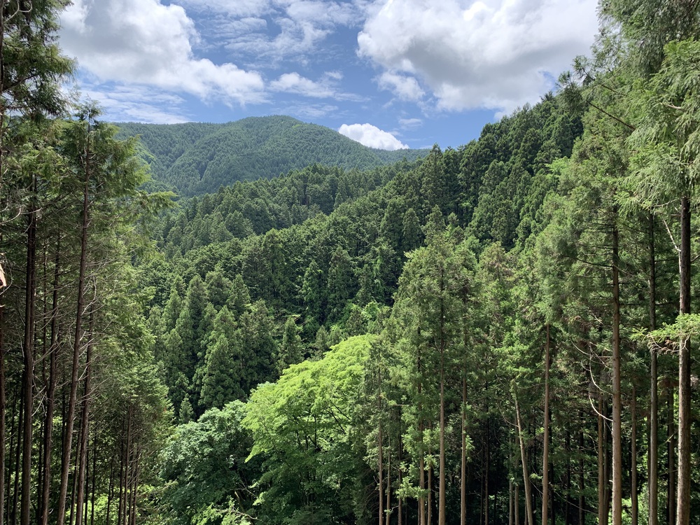 ハセツネ30K 走ってみたの写真13