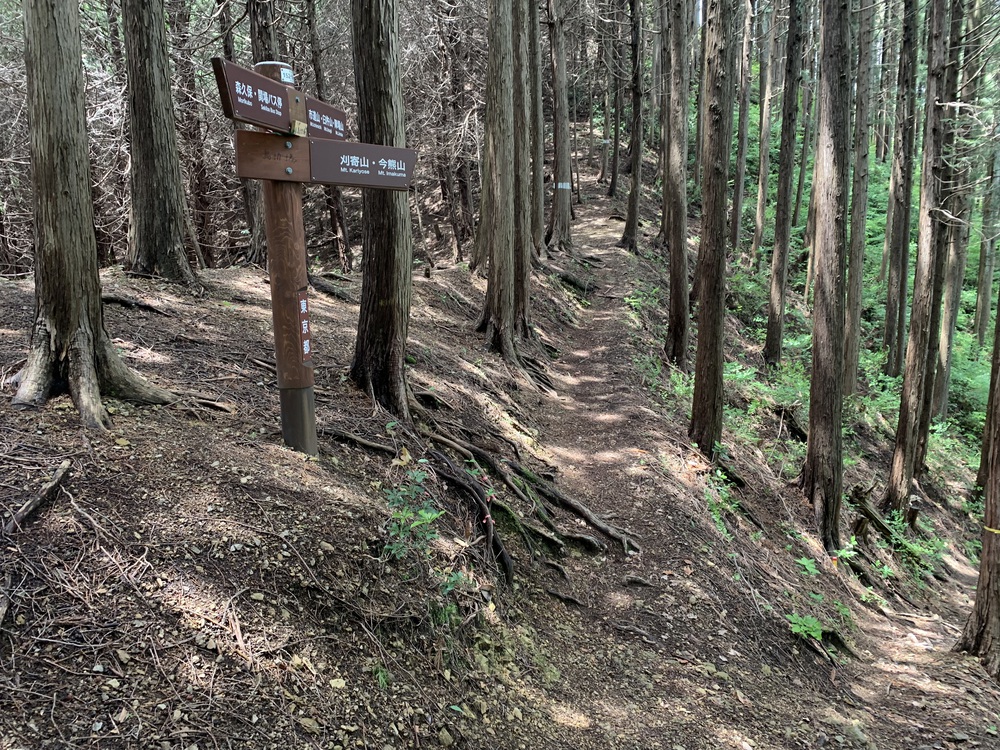 ハセツネ30K 走ってみたの写真15